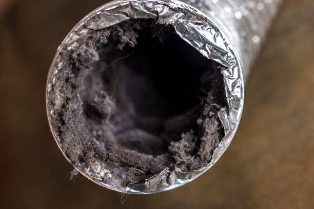 Best Local Air Duct Cleaning Services  in Baden, MD